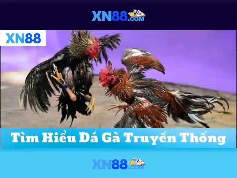 💎bóng đá trực tuyến kèo nhà cái chấm com💎 💎bóng đá trực tuyến kèo nhà cái chấm com💎
