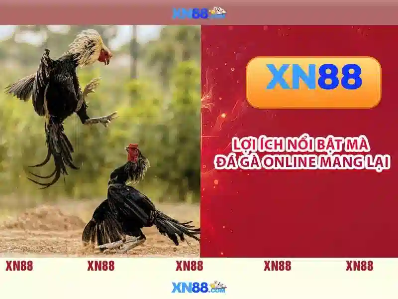 💎888slot ouvert actuellement💎 💎888slot ouvert actuellement💎