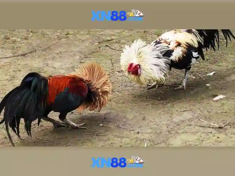 💎888 slot download ios💎 💎888 slot download ios💎