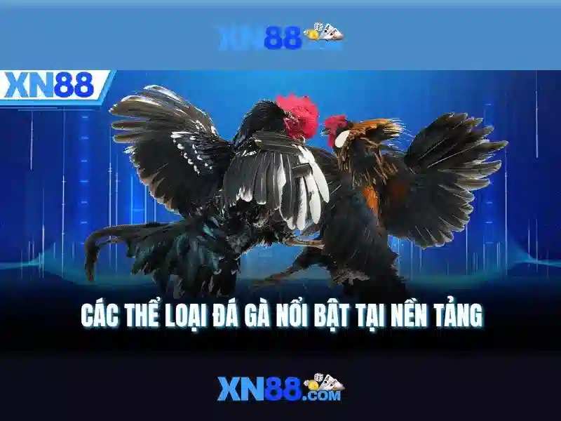 💎nha cai zm88💎 💎nha cai zm88💎
