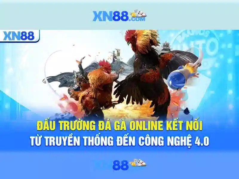 💎tỷ lệ kèo nhà cái trang 188💎 💎tỷ lệ kèo nhà cái trang 188💎