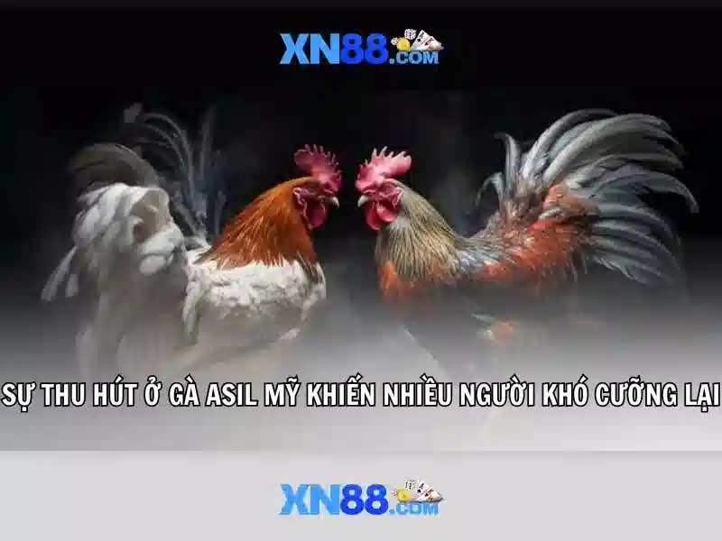 💎slots casino 007💎 💎slots casino 007💎