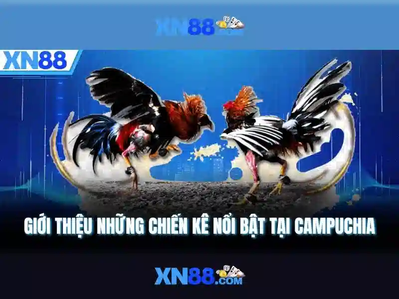 💎cách chơi cá cược euro 2024💎 💎cách chơi cá cược euro 2024💎