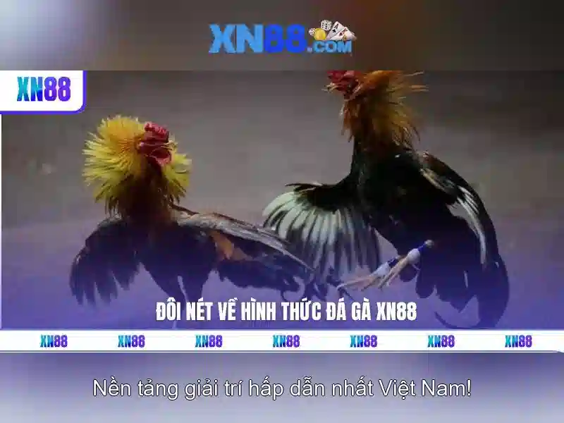 💎888slot island💎 💎888slot island💎