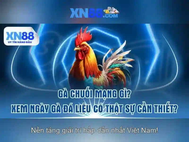 💎1.000.000.000 lệ nhà cái💎 💎1.000.000.000 lệ nhà cái💎