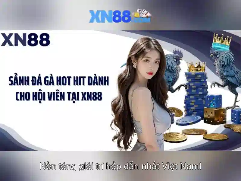 💎trang cá cược bóng đá social.bet💎 💎trang cá cược bóng đá social.bet💎