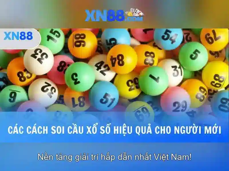 💎bóng đá wap tỷ lệ cá cược💎 💎bóng đá wap tỷ lệ cá cược💎