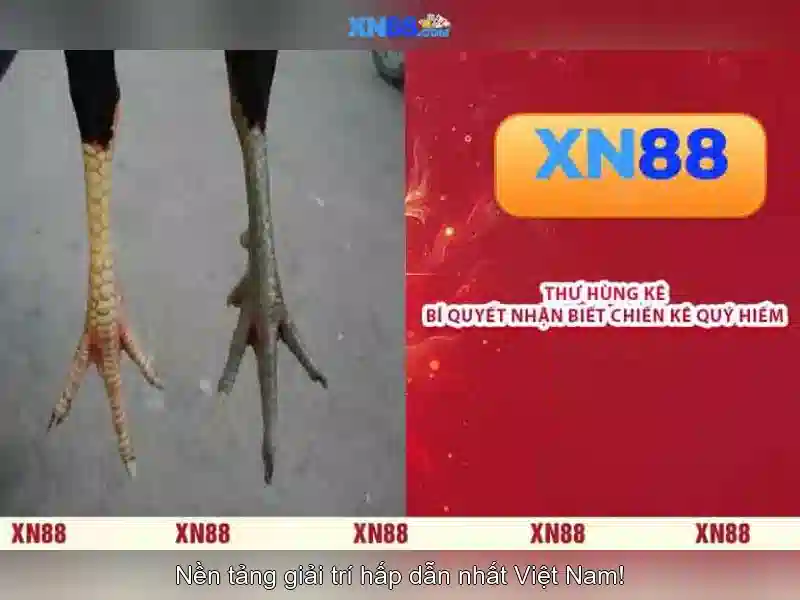 💎ket qua bong da keo nha cai hom nay💎 💎ket qua bong da keo nha cai hom nay💎