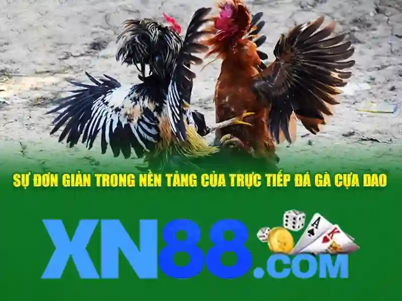 XN88 Gaming: Khám phá kho game slot đồ sộ, tương tác cùng dealer - xn88 XN88 Gaming: Khám phá kho game slot đồ sộ, tương tác cùng dealer - xn88