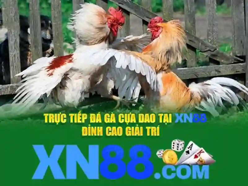 Luật Chơi Xổ Số Miền Trung Tại XN88 – Hướng Dẫn Tải XN88 Dành Cho Người Mới - xn88 Luật Chơi Xổ Số Miền Trung Tại XN88 – Hướng Dẫn Tải XN88 Dành Cho Người Mới - xn88